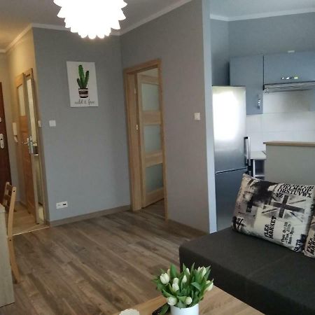 Apartament Edelmana Leilighet Gorzów Wielkopolski Eksteriør bilde